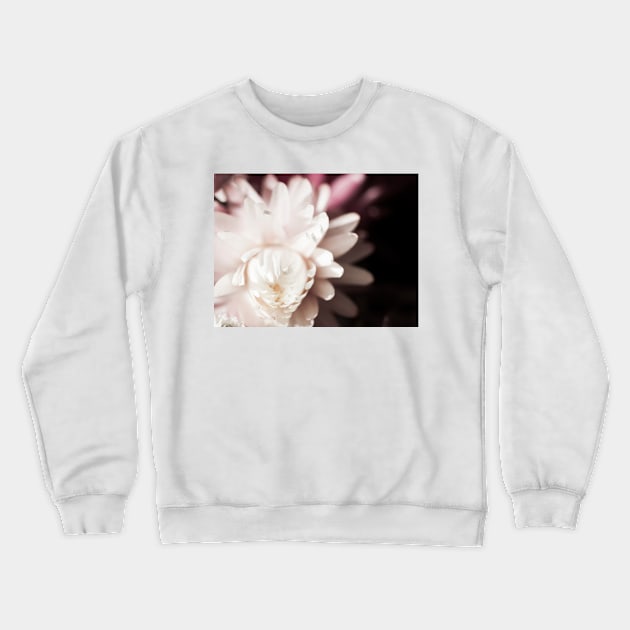 Dry Flower Crewneck Sweatshirt by ansaharju